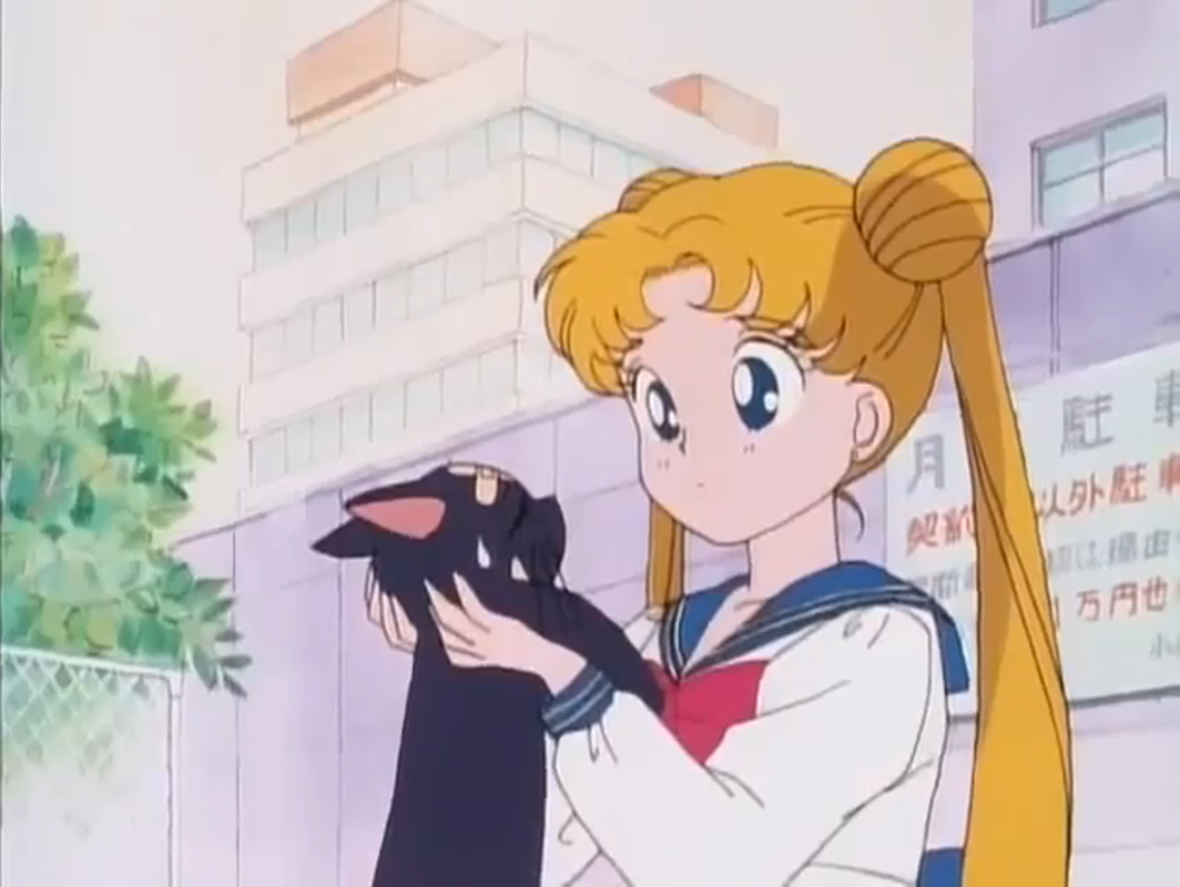 [Ficha Completa] Sailor Moon - Serena"Usagi"Tsukino/Sailor Moon Part-2